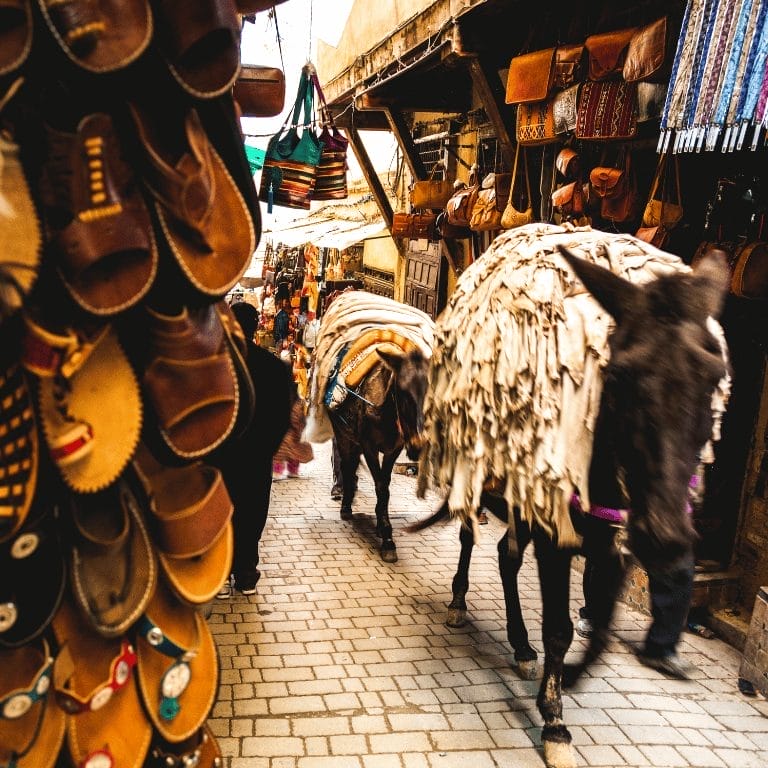 Top Activities in Fez: Medina