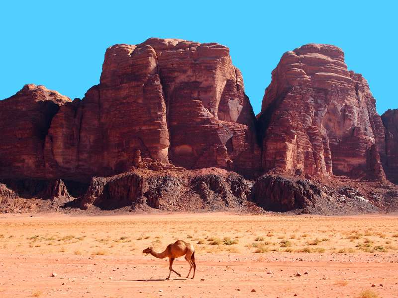 Wadi Rum Jordan