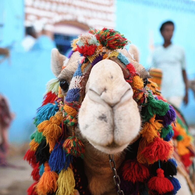 Photography in Egypt: A Practical Guide