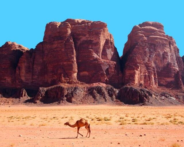 Wadi Rum Jordan