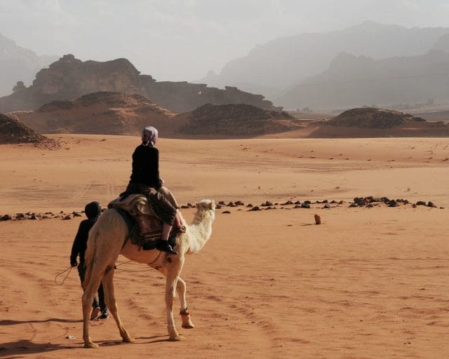 person riding on white camel near mountain